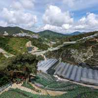 A Crowd Pleaser: Cameron Highlands Flora Park