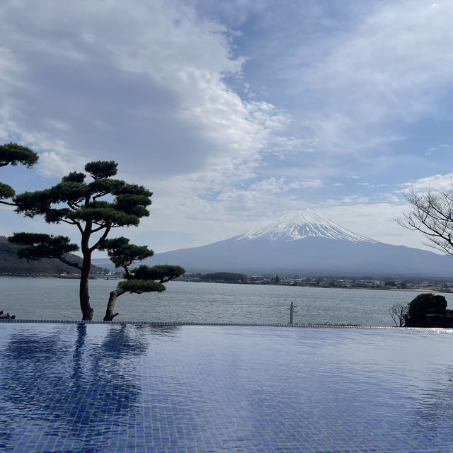 富士山🗻下滿有詩意的賞花之旅