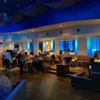 沖縄本島・美ら海水族館カフェ「オーシャンブルー」ジンベエザメを見ながら食事ができる席が大人気