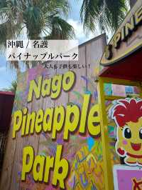 🌺沖縄 名護　パイナップルパーク🍍