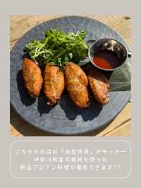 【鎌倉】わんこと行ける海沿いランチ🌴