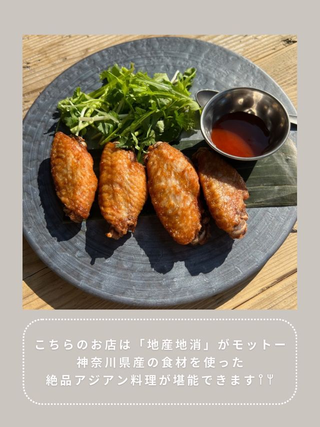 【鎌倉】わんこと行ける海沿いランチ🌴