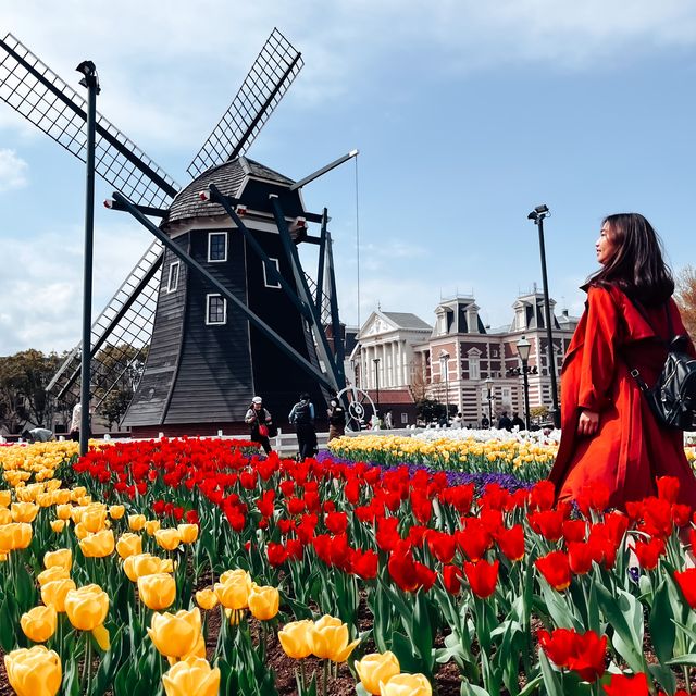 Amsterdam in Japan