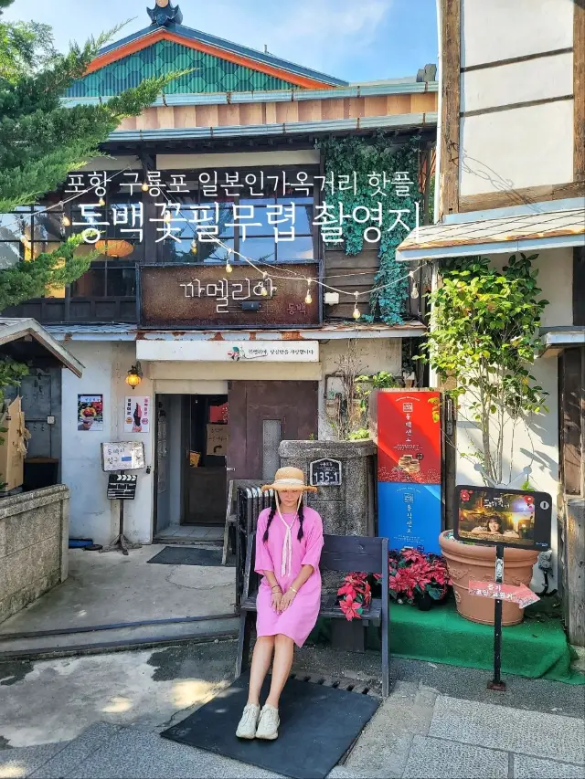 드라마 동백꽃필무렵 촬영지 구룡포 일본인가옥거리🌺