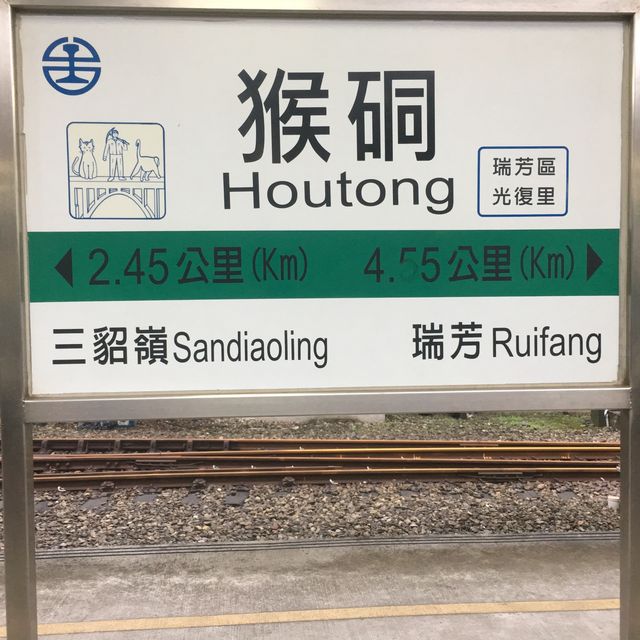 🐱 猴硐貓村😎貓咪天堂 🏞️😺 