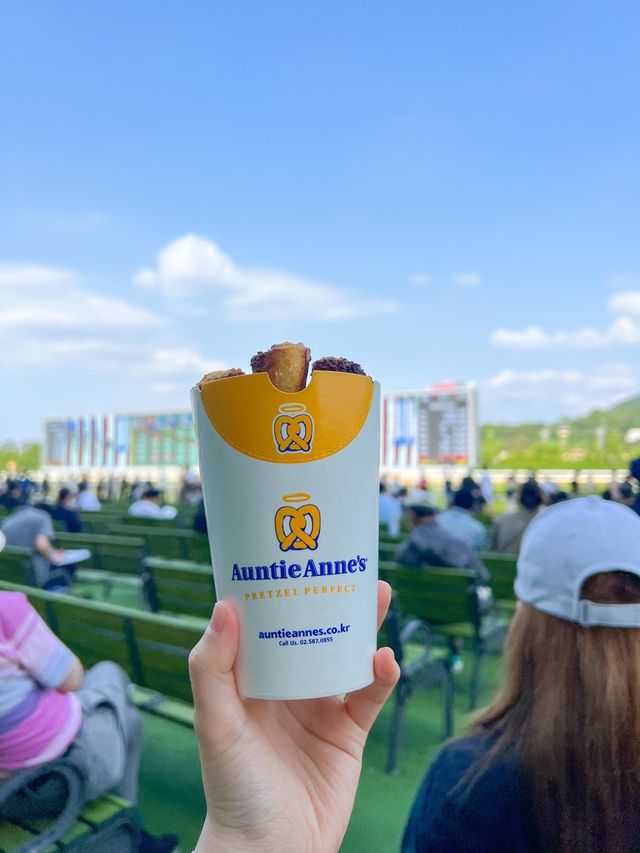 이색적인 경험을 즐기고 싶다면 렛츠런파크🏇