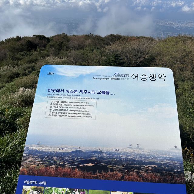 24h in Jeju - Hallasan mountain hike