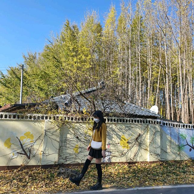 도리마을, 경주 은행나무숲🍂