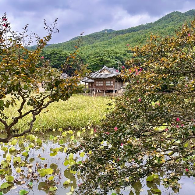 📖 신라의 역사가 담긴 평화로운 서출지 산책여행을 떠나보세요! 💚