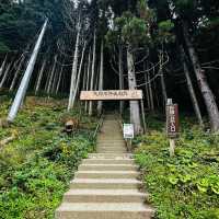 Life’s checklist - Nagano’s Snow Monkey Park