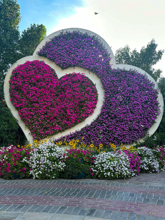 A Flowering Oasis in the Desert