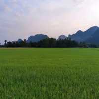 บ้านสวนคีรีวงศ์ อ.เขาย้อย จ.เพชรบุรี