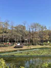 周末郊遊好地方·青衣公園