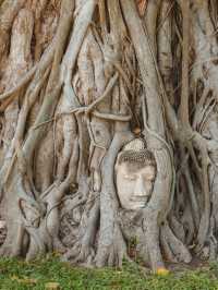 วัดมหาธาตุ จ. อยุธยา 