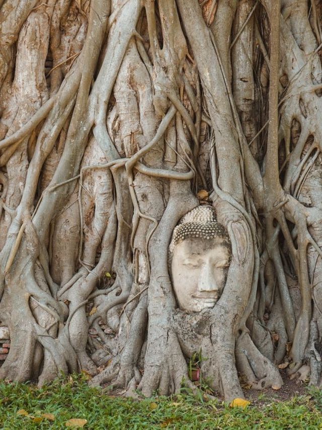 วัดมหาธาตุ จ. อยุธยา 