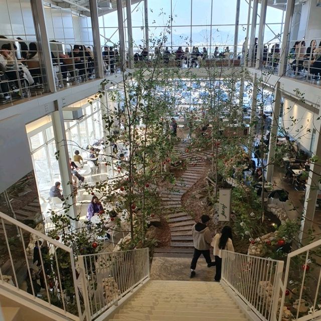 솦속에서 빵먹는 느낌🌳마고포레스트