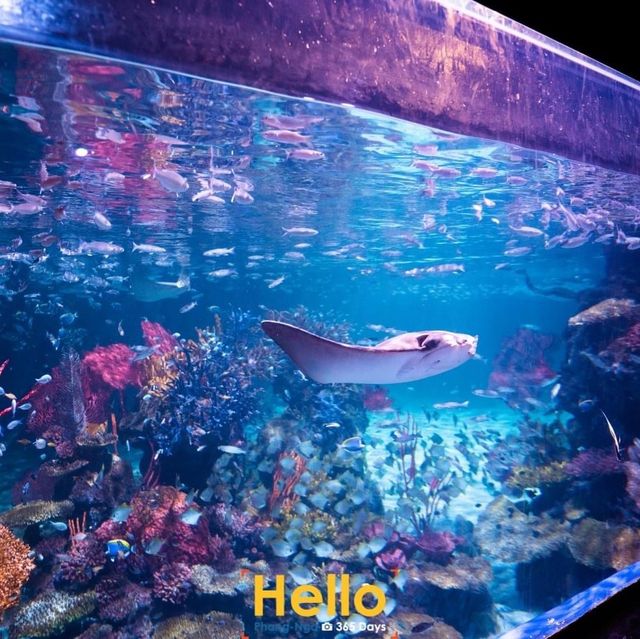 AQUARIA PHUKET 