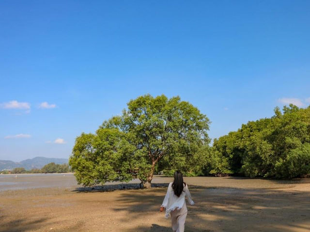 The Mangrove by Blu Monkey ที่พักติดทะเลสุดปัง