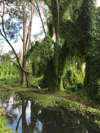 Perth 珀斯秘密花園(Secret Garden) | 世外桃源的景色