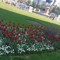 walk around lasi 