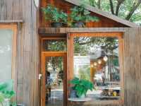 9th September Eat Drink Tree คาเฟ่ใต้ต้นจามจุรียัก