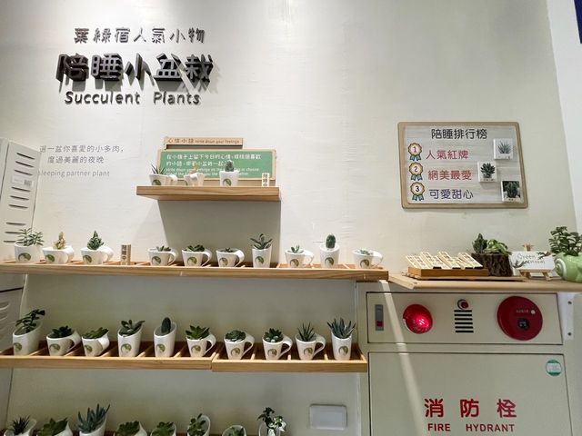 台中住宿推薦 | 逢甲葉綠宿旅館