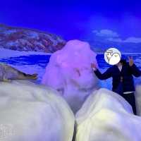 【北海道】クリオネがいっぱい！オホーツク流氷館