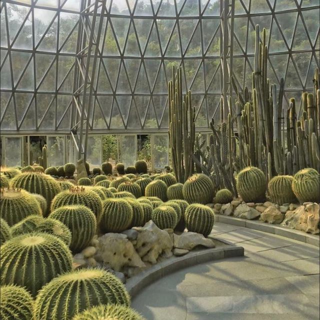 🏞️植物奧秘 - 仙湖植物園🌱