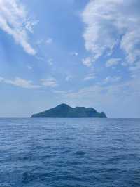 《宜蘭》搭乘遊艇出海賞鯨豚 一覽絕美海景-龜山島
