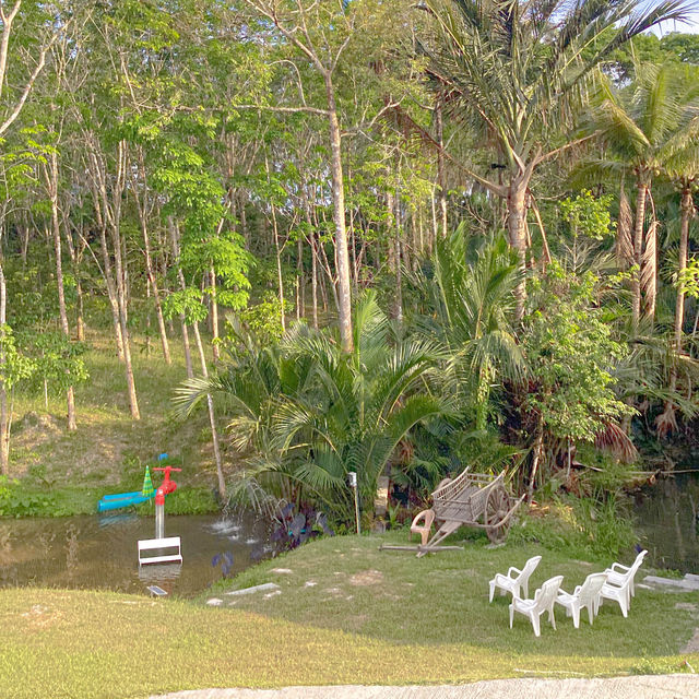 ลานสกาฟาร์มแกะ นครศรีธรรมราช