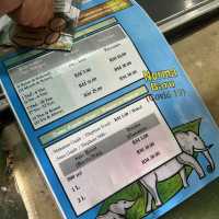與大象親密接觸 🐘