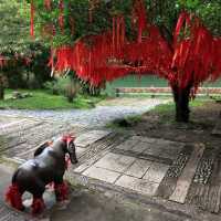 น้ำตกซือเฟิ่น (Shifen Waterfall)