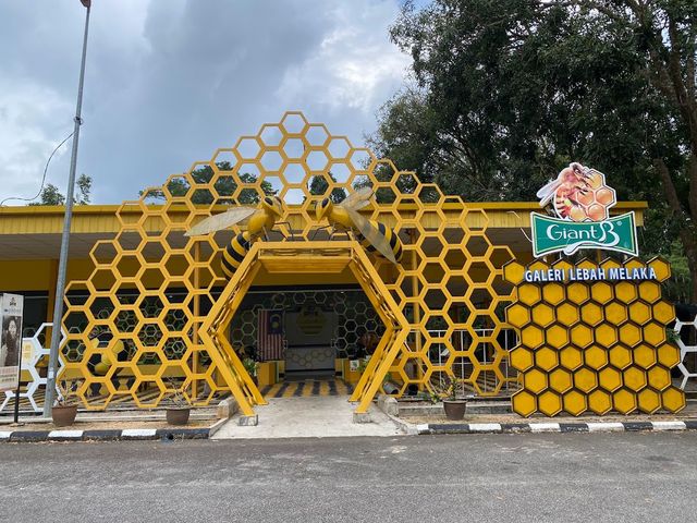 Bee Gallery Malcca ✨