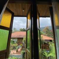 Beautiful resort in the nature, Fifty4Fern