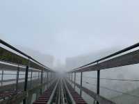 Alphine Coaster At Bana Hills