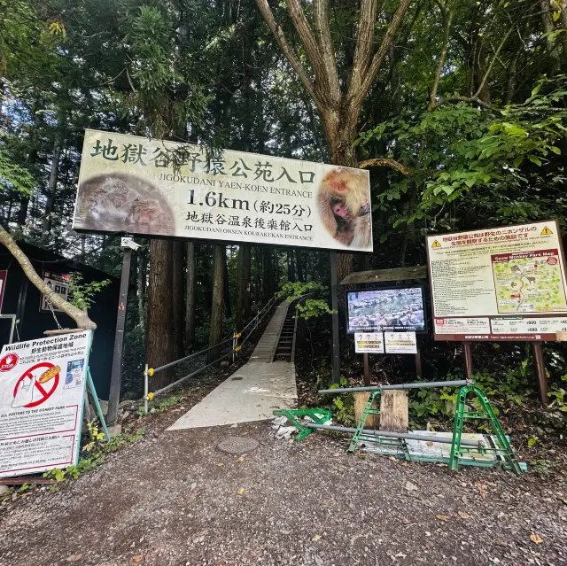 Life’s checklist - Nagano’s Snow Monkey Park