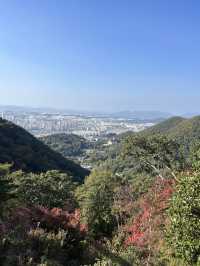 광주 숨은 국내여행지