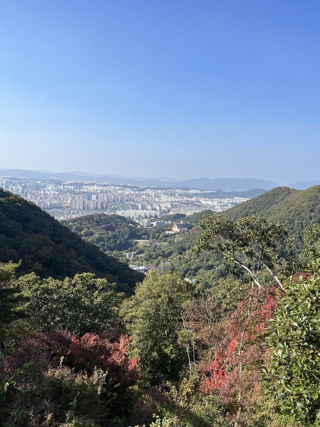 광주 숨은 국내여행지