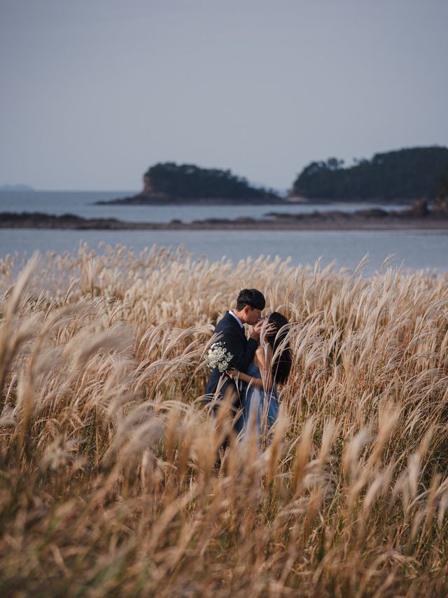 서해바다와 억새밭을 동시에 볼 수 있는 가을여행지, 신두리해안사구
