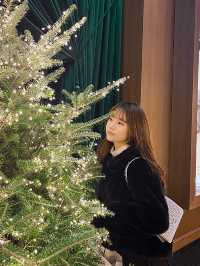 크리스마스 시즌에 꼭 가야하는 명동 포토존📸