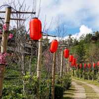 The most beautiful village in Thailand 