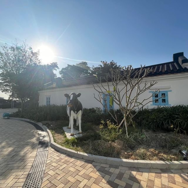 隱世薄鳧林牧場🐮舊牛奶公司職員宿舍❤️百年歷史