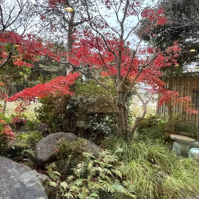 【福岡】原鶴温泉で蟹三昧