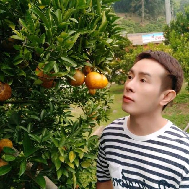 สวนส้มชไมพร🍊🍊
