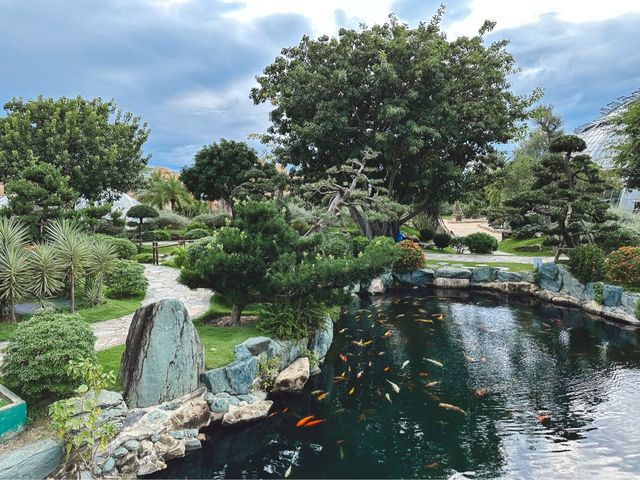 Japanese garden เกาะวินเพิร์ลแลนด์