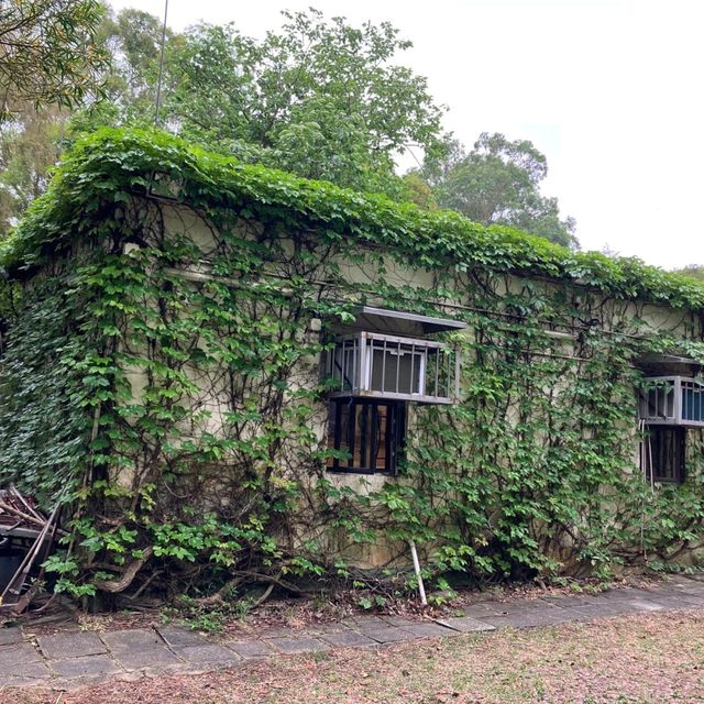 探索南丫島秘境