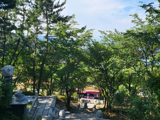 가슴이 뻥 뚫리는 "여수 향일암"
