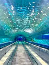 เที่ยวอควาเรียมสุดฮิตในบางแสน ✨🐋