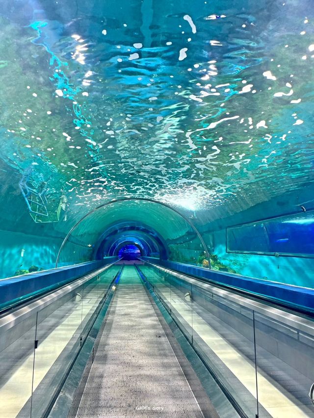 เที่ยวอควาเรียมสุดฮิตในบางแสน ✨🐋