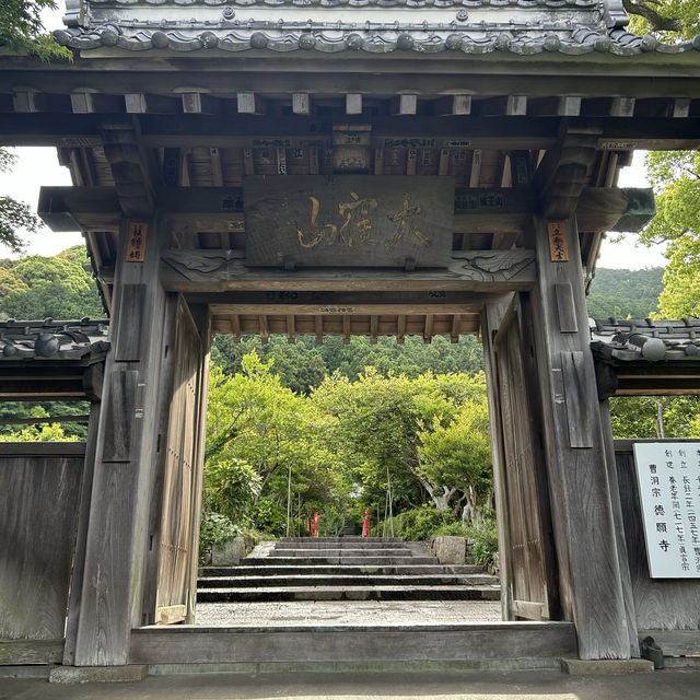 静岡市を一望する徳願寺